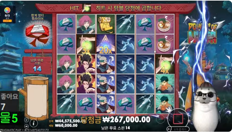 물개 왓네요~~