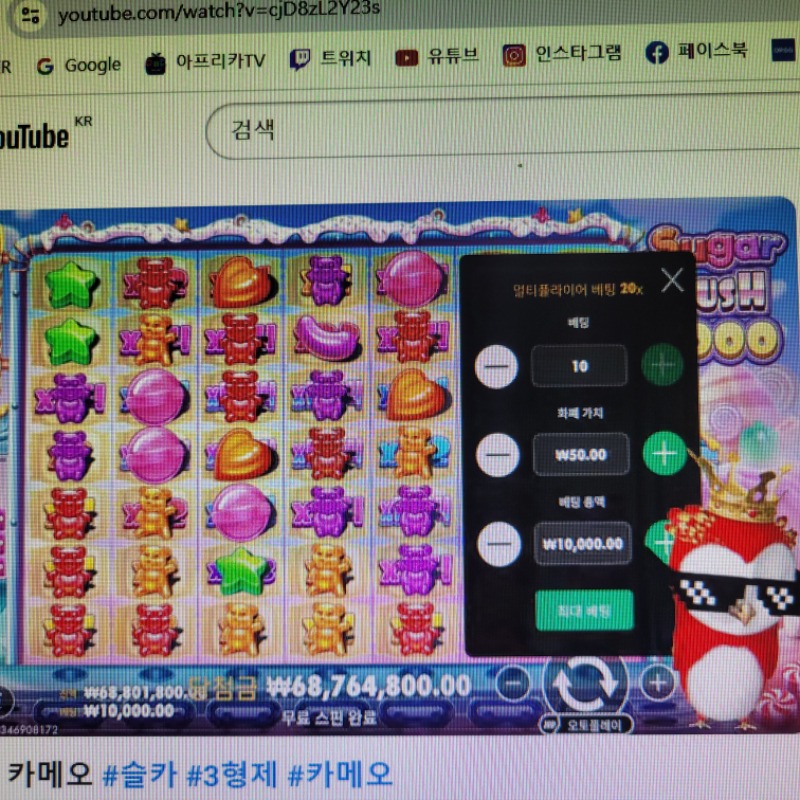 붱이 왕중왕결과공유
