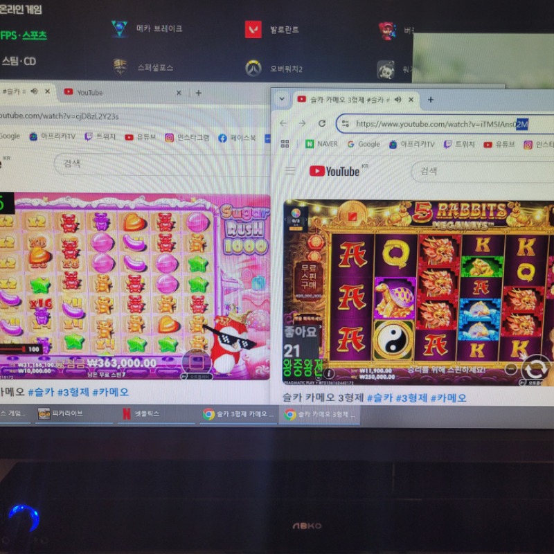 사자,붱이 둘다 너무고생많았옹~