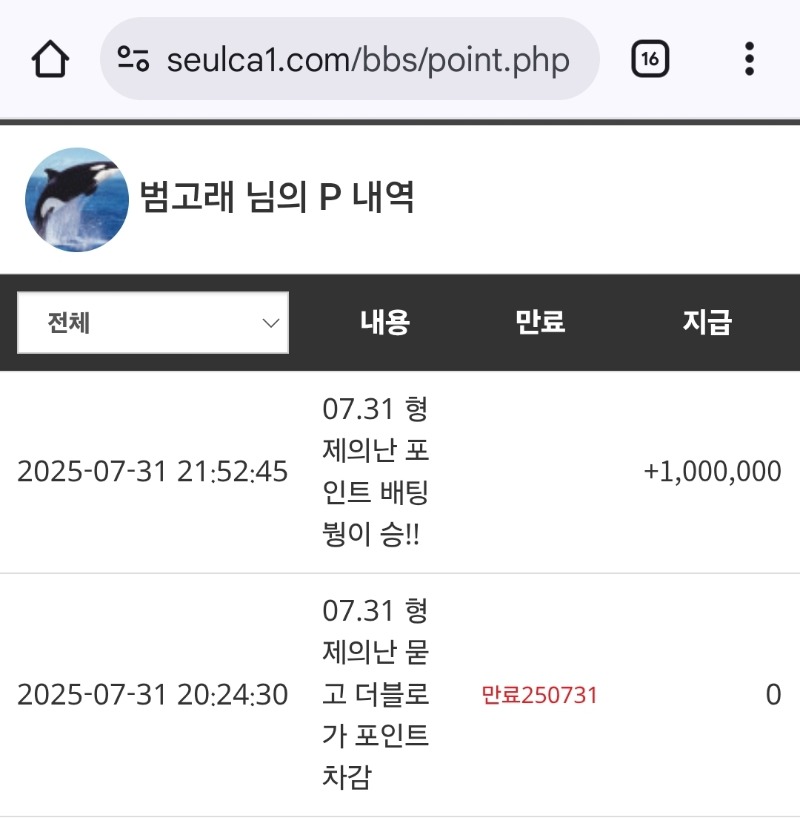 형난포인트좋다ㅅㅅ붱부사