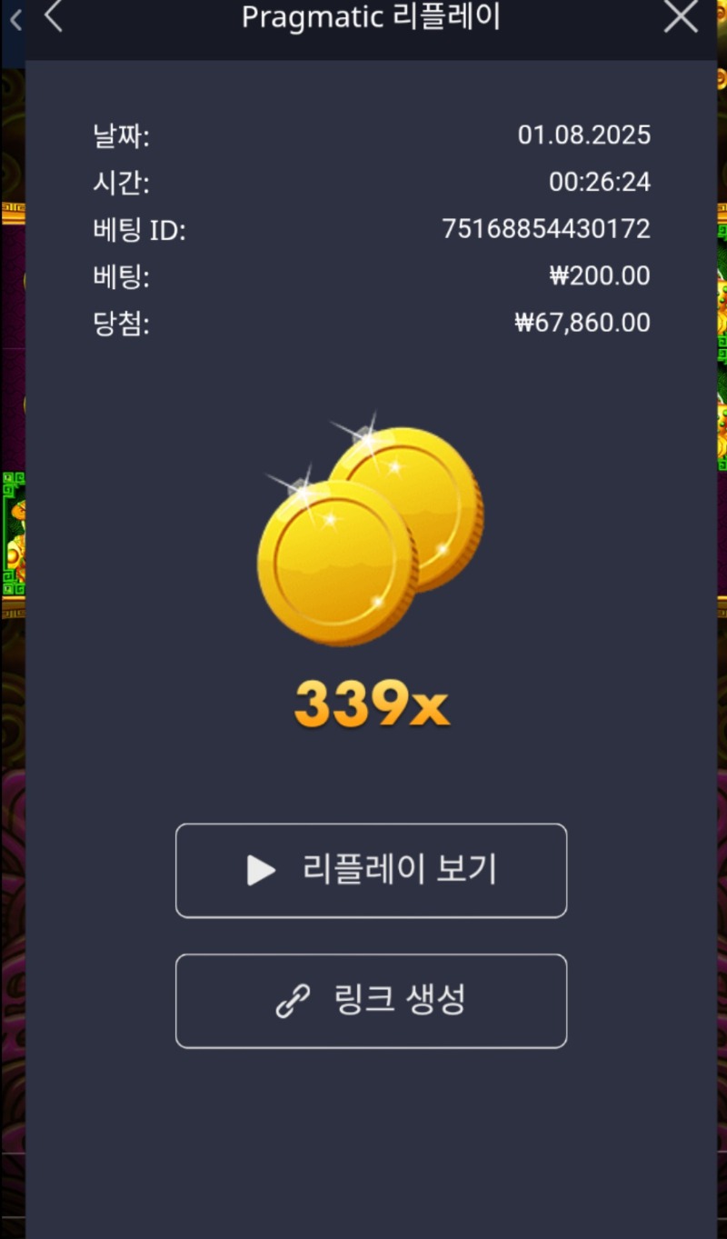 토라메339배