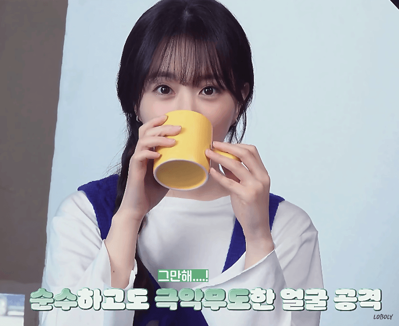 국내 커피믹스 시장 점유율