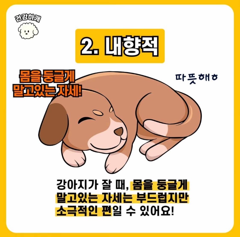 강아지 수면자세로 보는 성격
