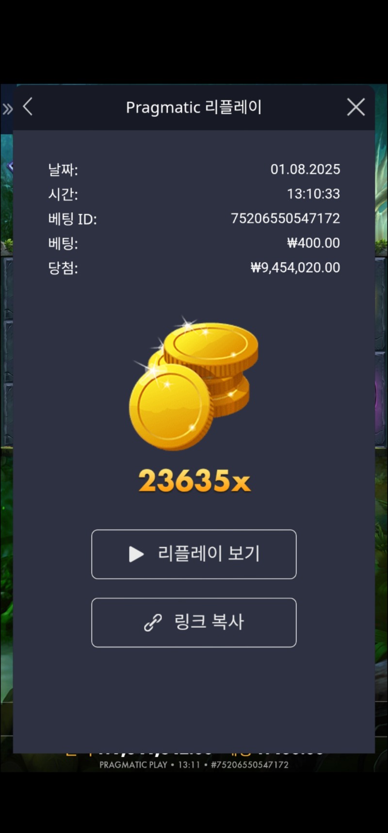 멀린 23635배