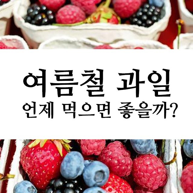 굿밤~길위에서(여름철 과일 언제먹을까?