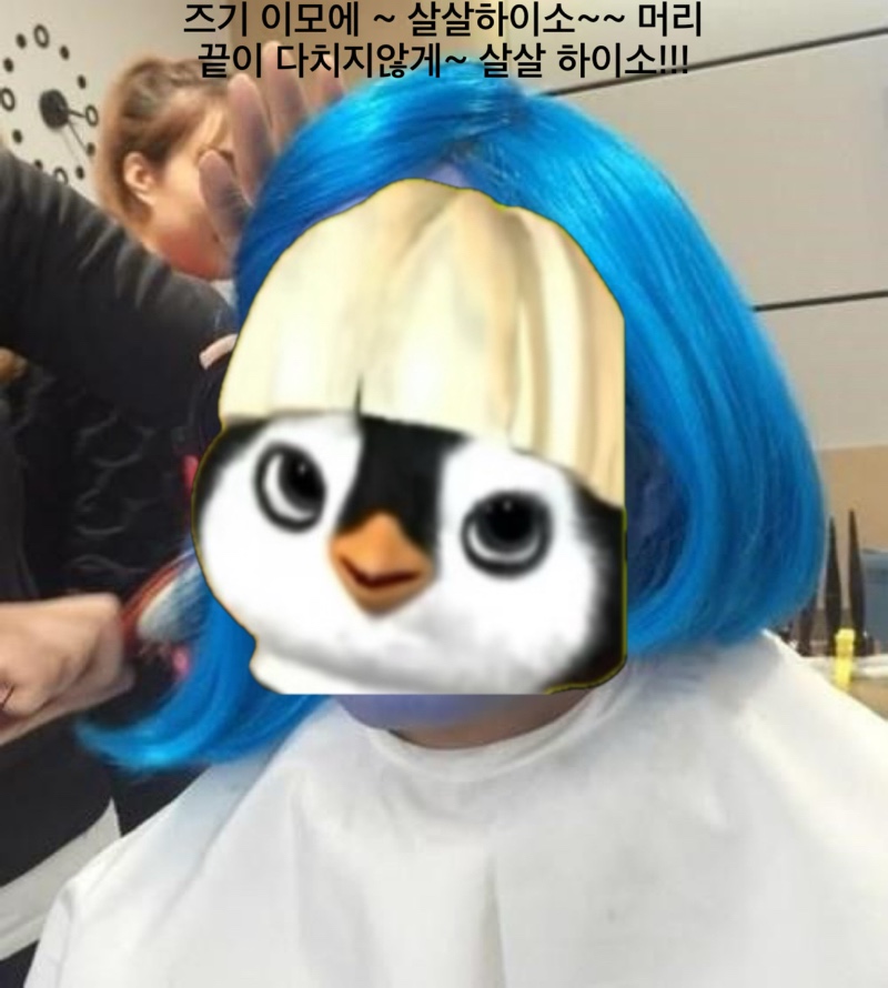 펭!!!!