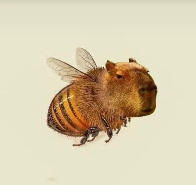 우헤헤ㅋㅋㅋ~_~