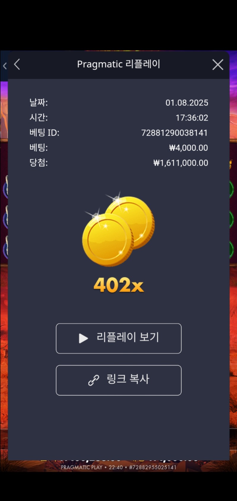 버팔로 킹 402배