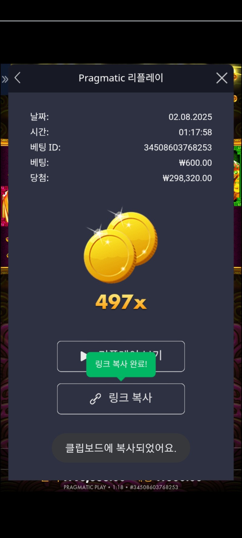 토라매 497배