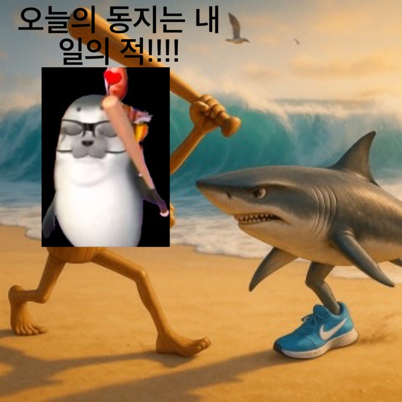 상어 괴롭히기!!!