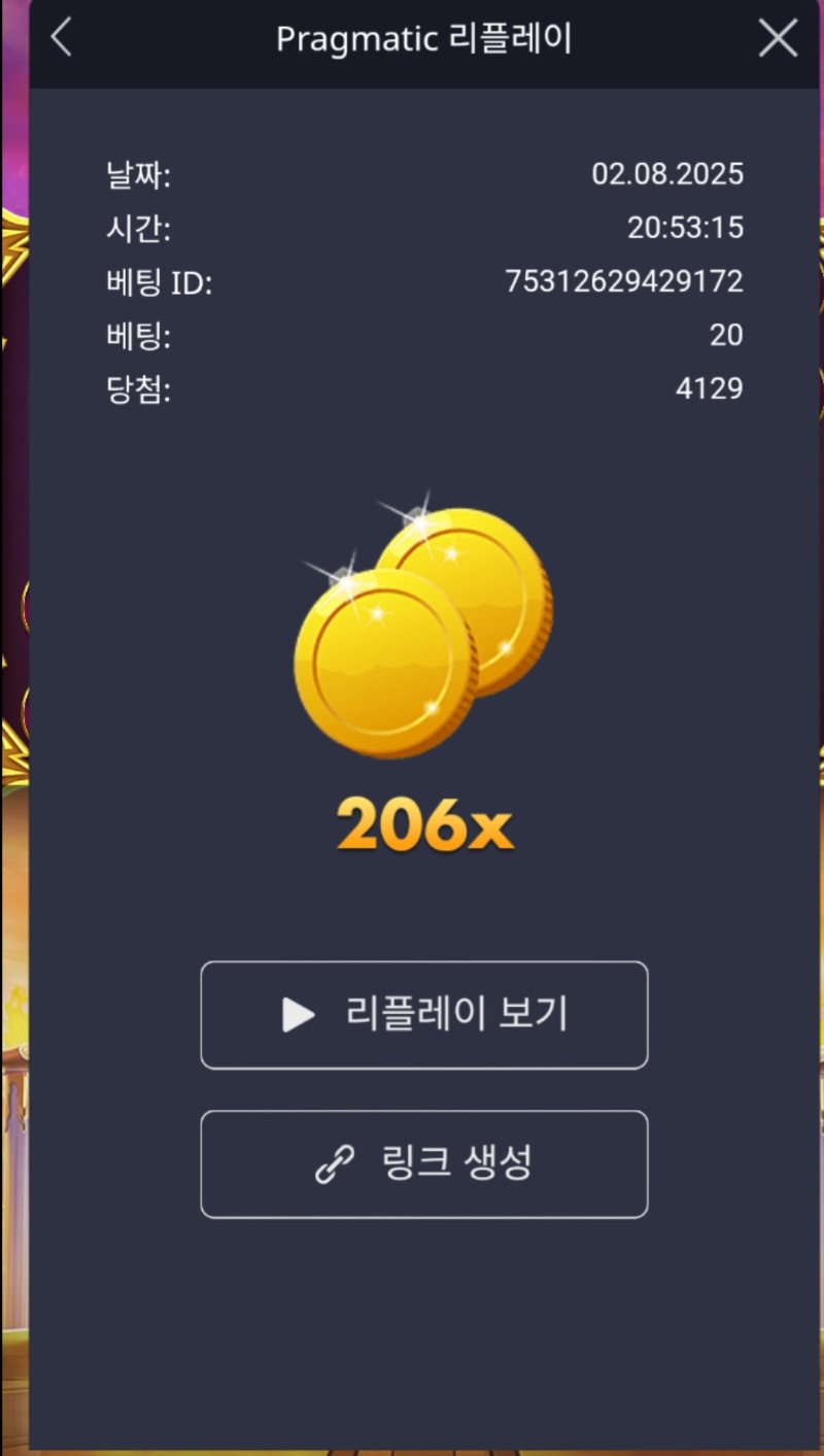 올림푸스206