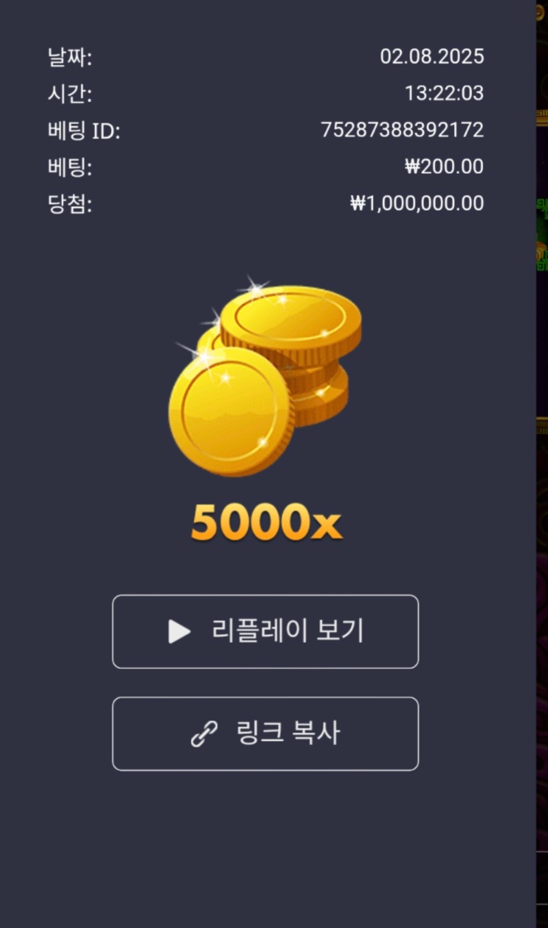 토라메 5000배