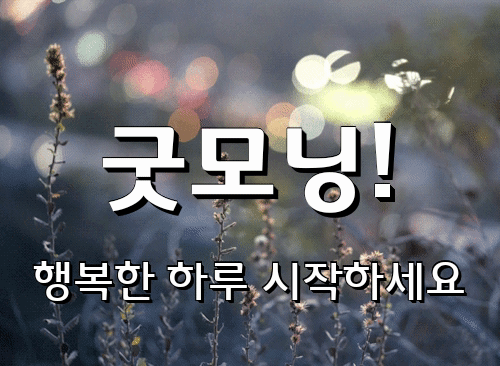 굿몽~오늘 비온다고하네요~