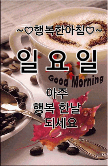 굿몽~오늘 비온다고하네요~
