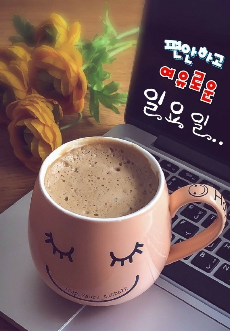 굿몽~오늘 비온다고하네요~