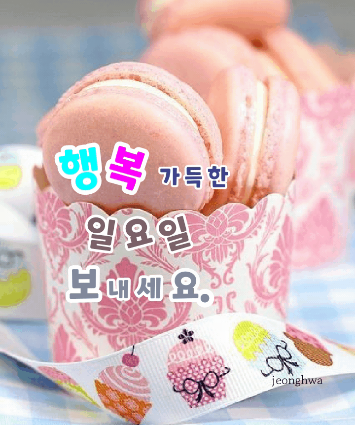 굿몽~오늘 비온다고하네요~