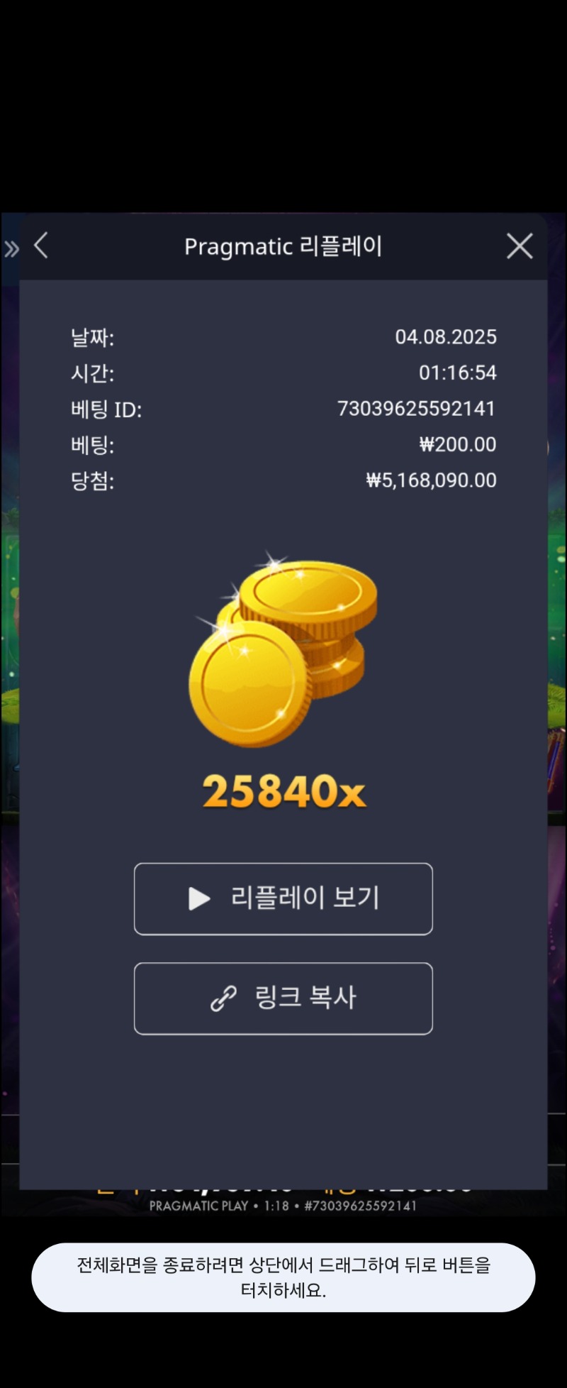 멀린 25840배