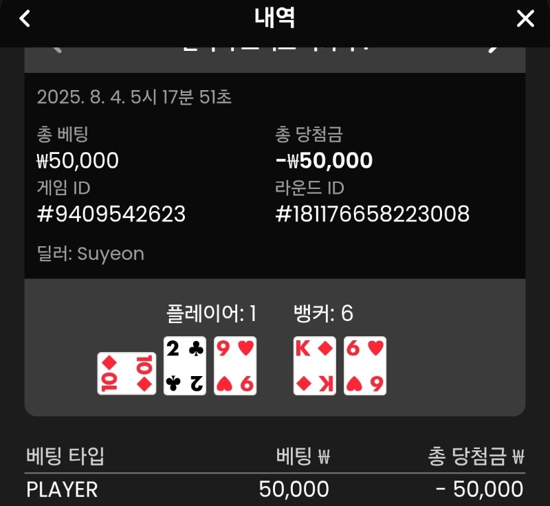 플레이어 패