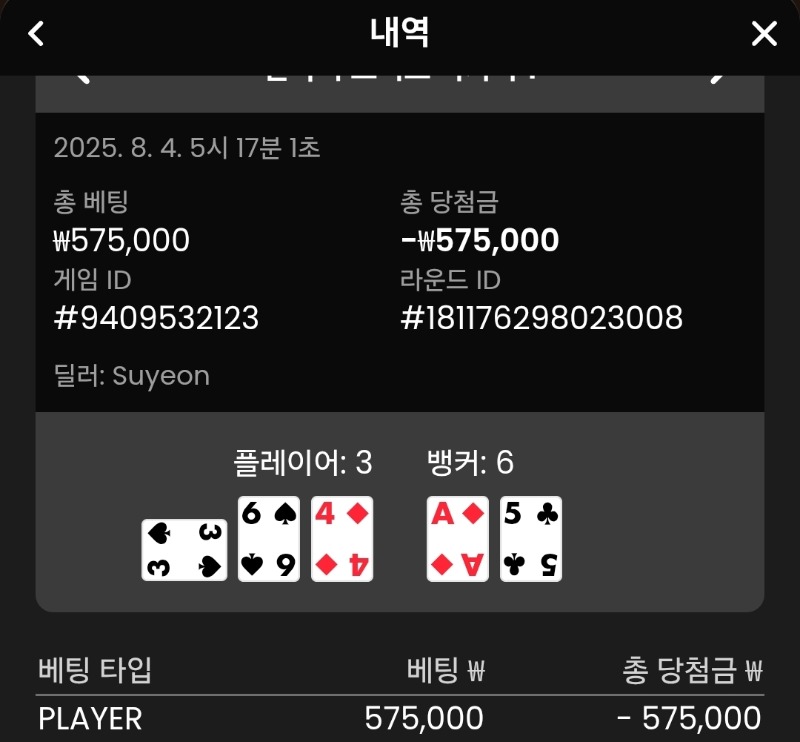 플레이어 패