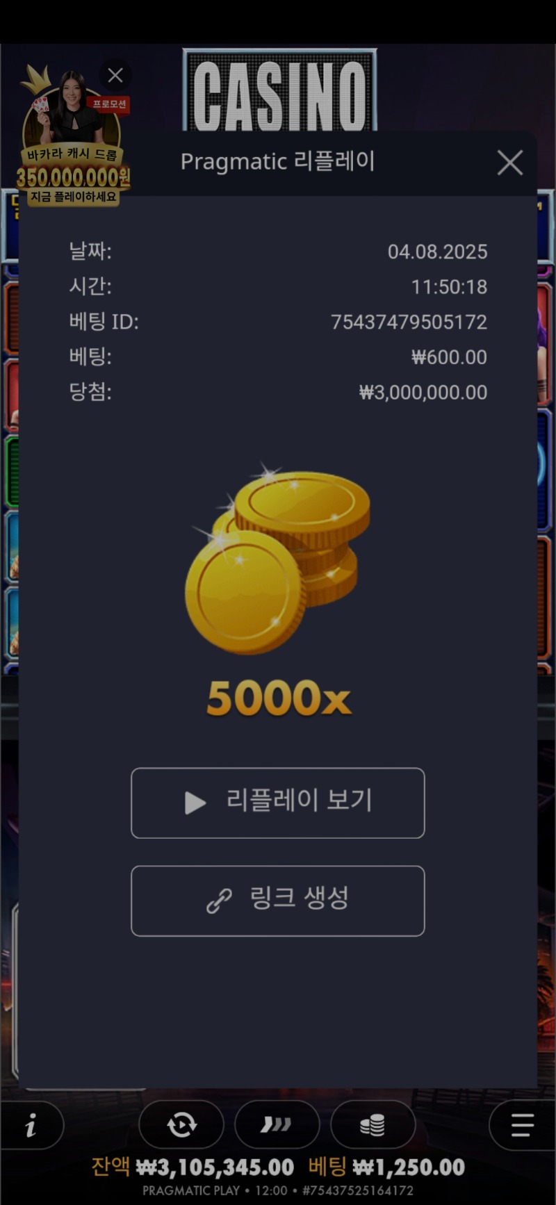 카지노 맥스 5천배