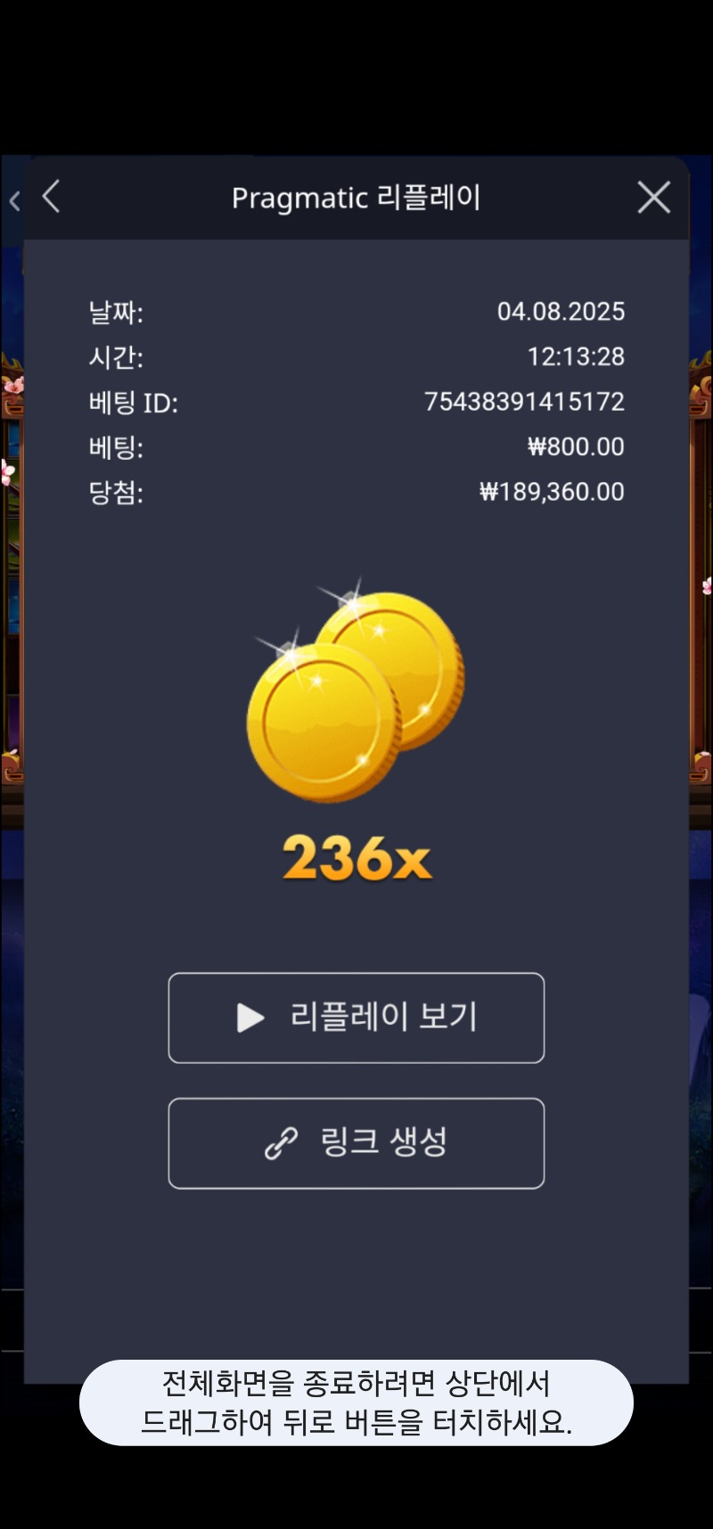 사무메 236배