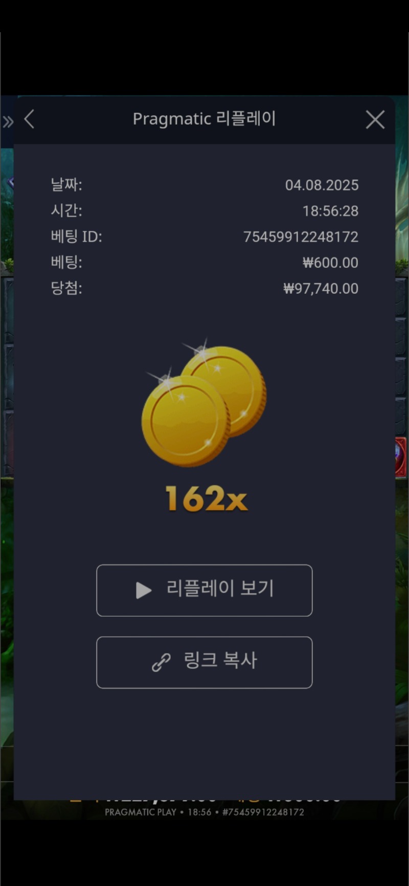 멀린 162배