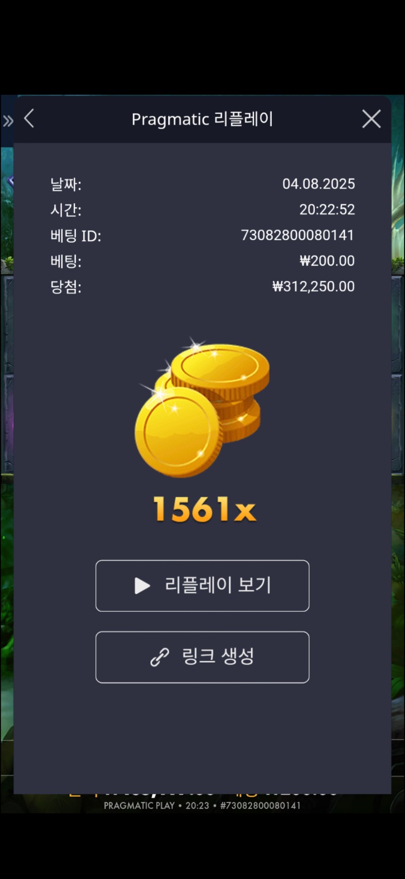 멀린1561배