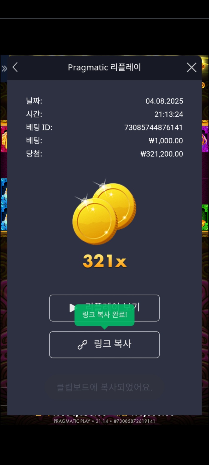 토라매 321배