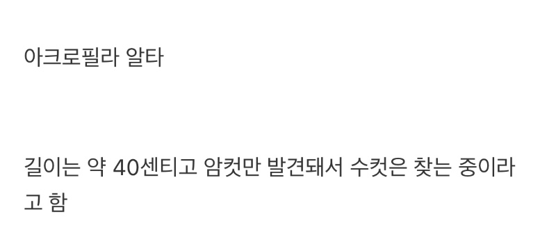 호주에서 발견된 신종 대벌레