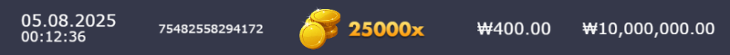 슈천 25000 맥스
