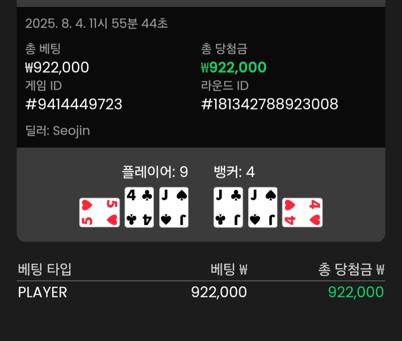 바카라 플레이어 승