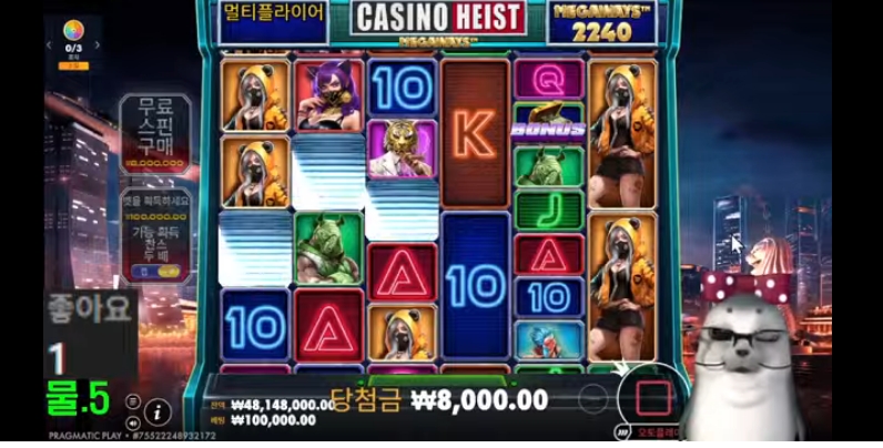 물개 방송 시작 했어요~