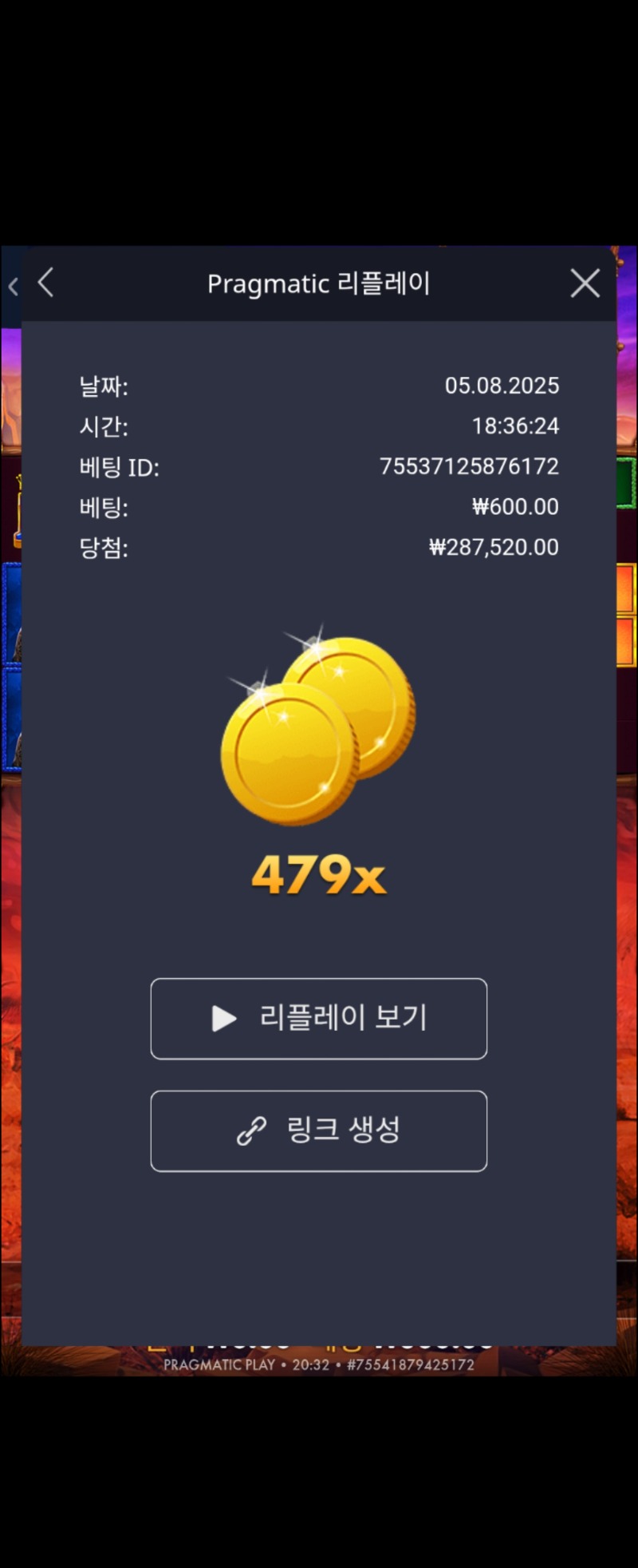 버팔로메가웨이479배