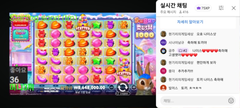 토끼 미니형난 첫출전에 완벽한승리까지 했네요.