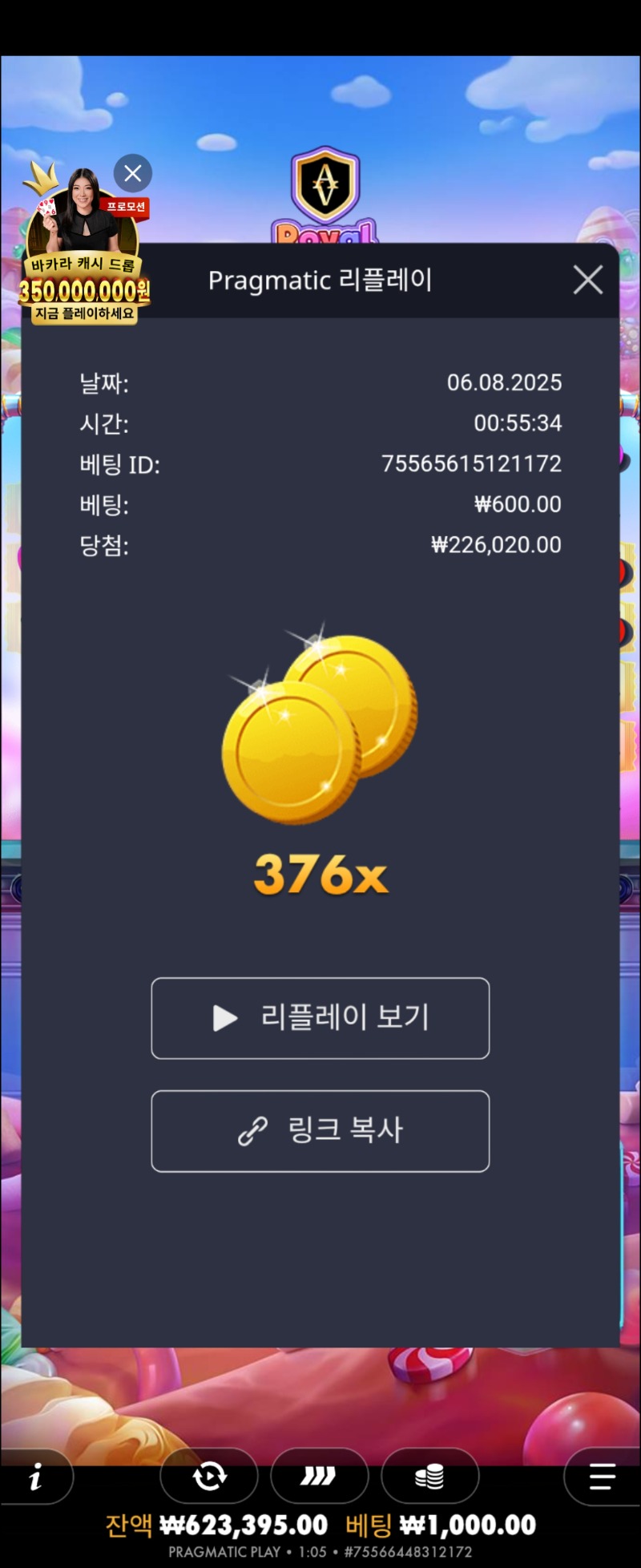 로얄 슈천 376