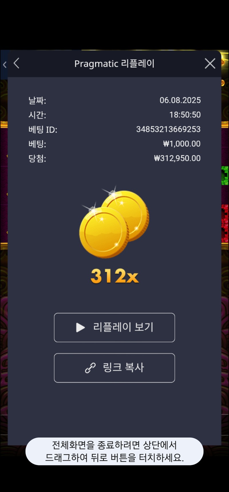 토라메 312배