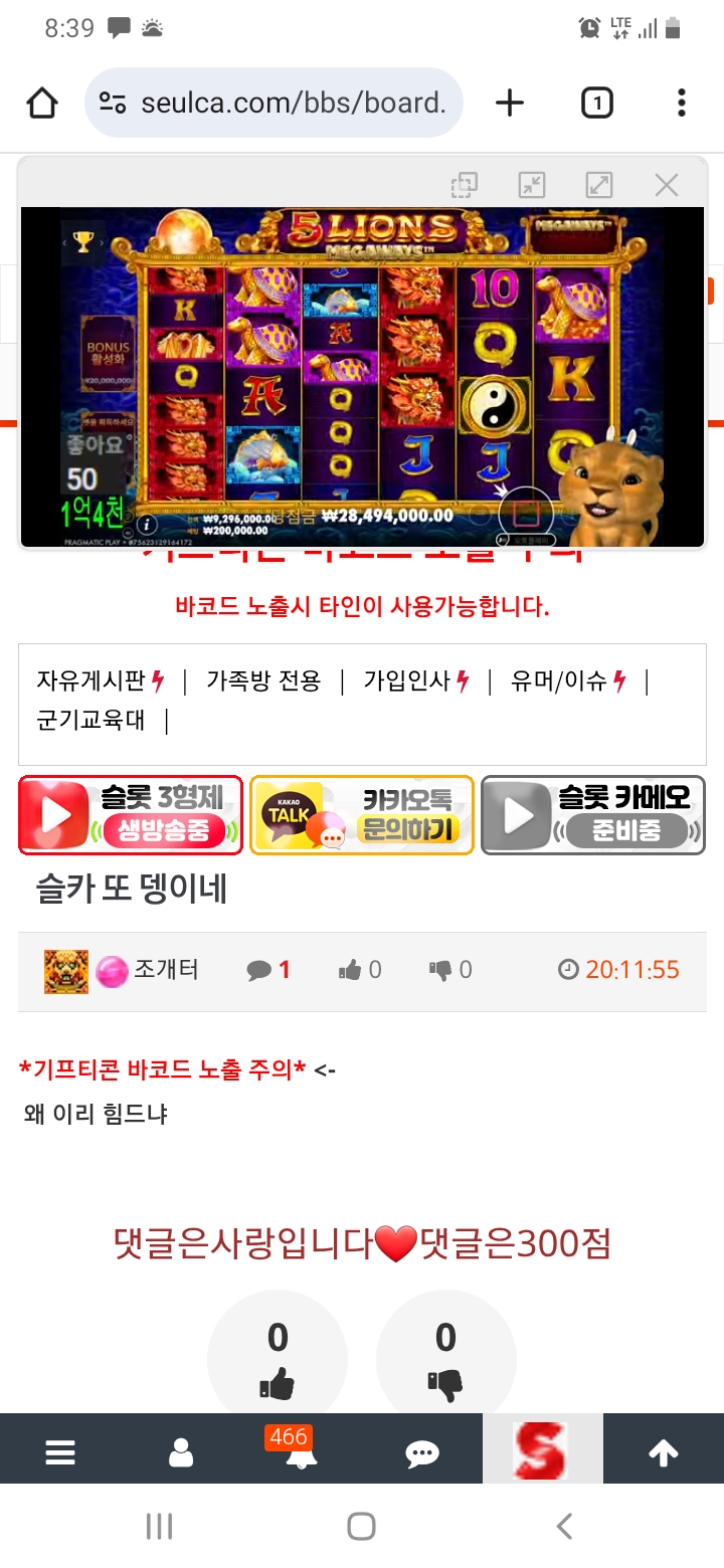 사자 방송보면서 댓글알바중~~