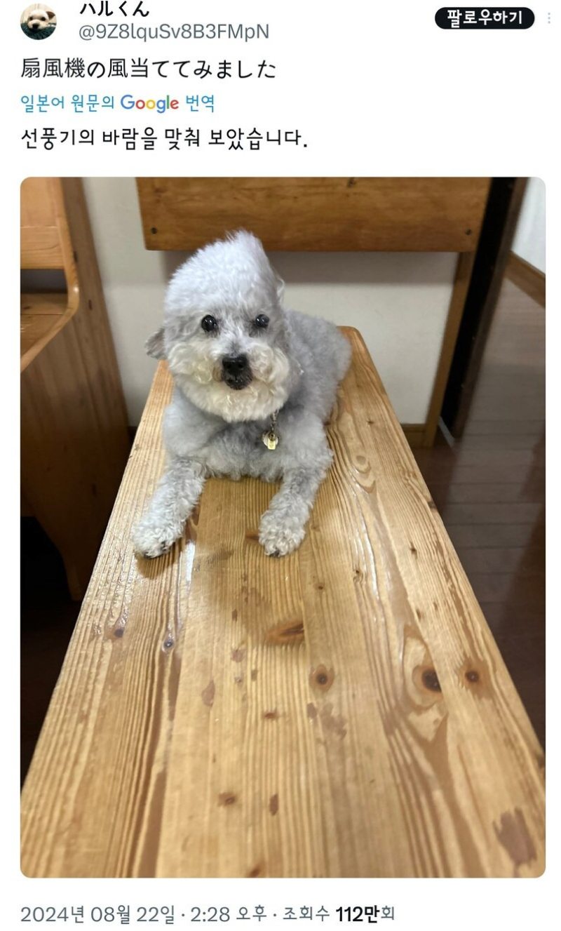 폭염에 오랜시간 선풍기 바람 맞은뒤