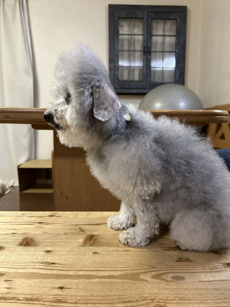 폭염에 오랜시간 선풍기 바람 맞은뒤