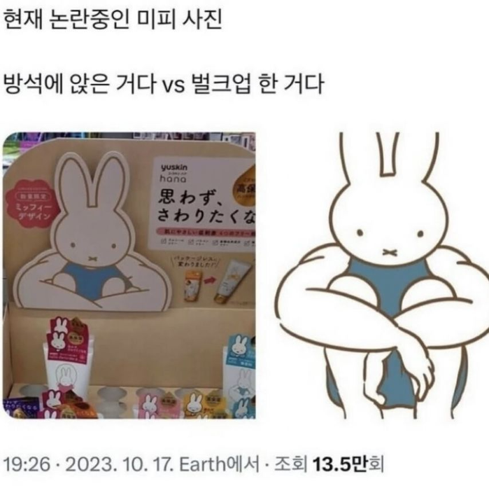 논란의 미피사진