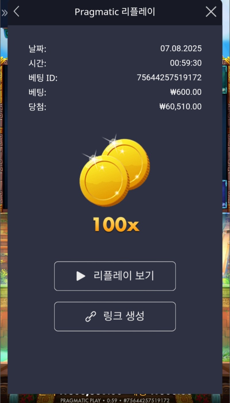 게오아 100배 ♧