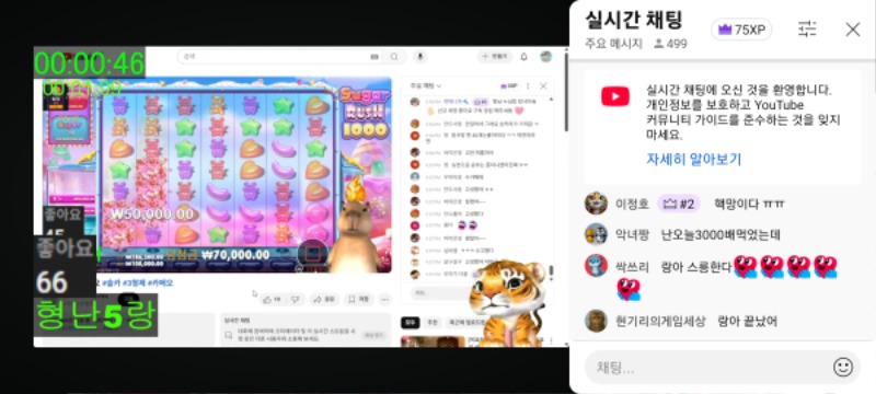 형난 랑이,비버 둘다 너무고생많았오
