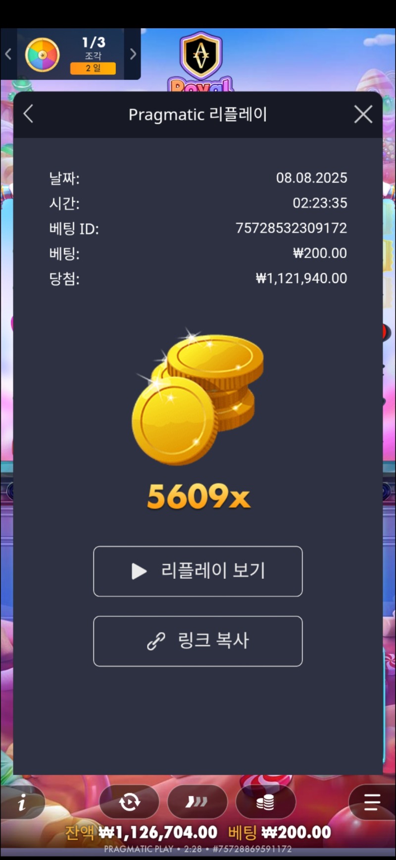 로얄슈천 5609배