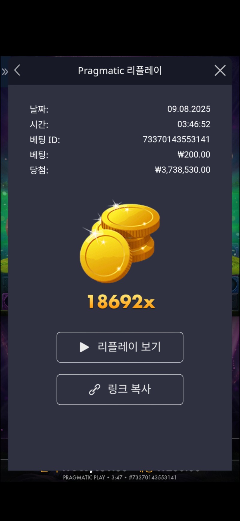 멀린18692배