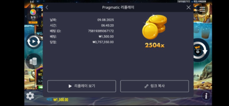 피쉬아이 2504배