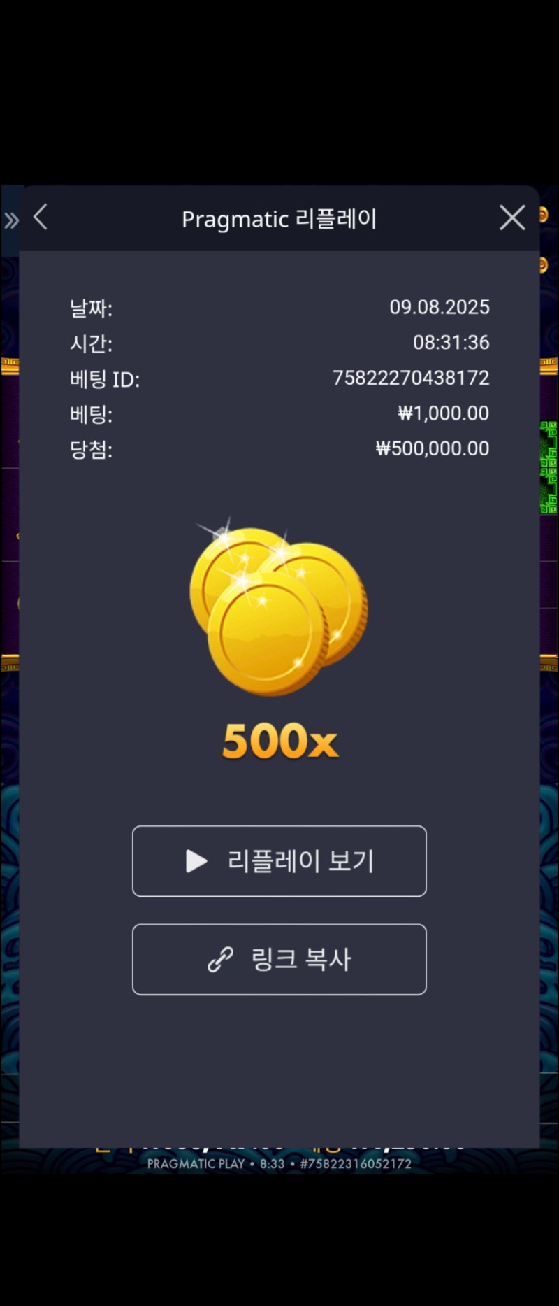 오라메 500