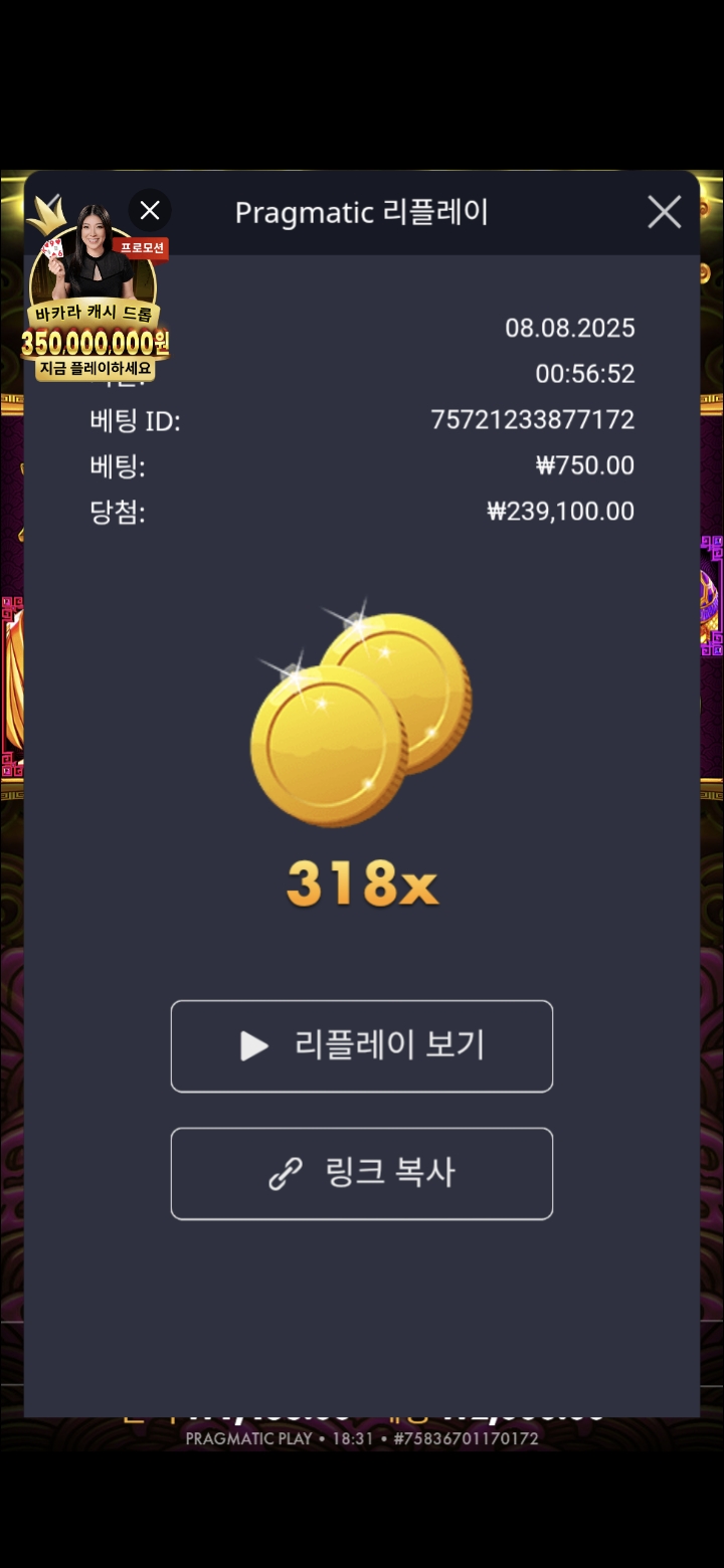 토라메 318배
