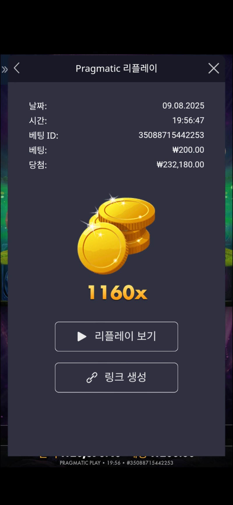 멀린1160배