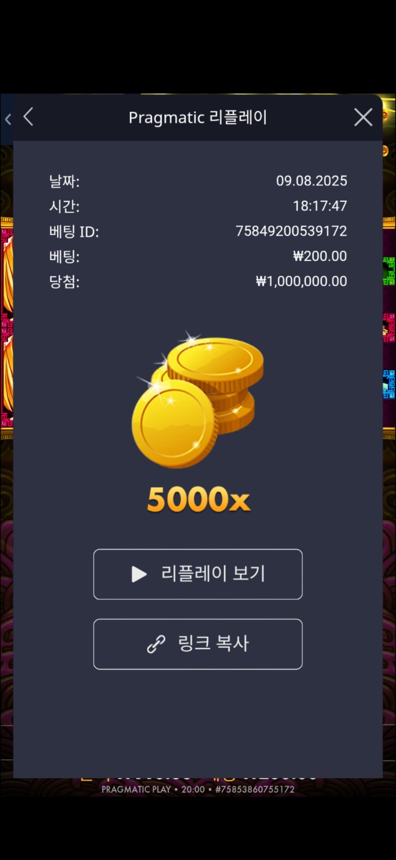 토라메 5000배