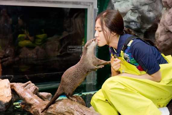 난 언제 이런거 해 보지?